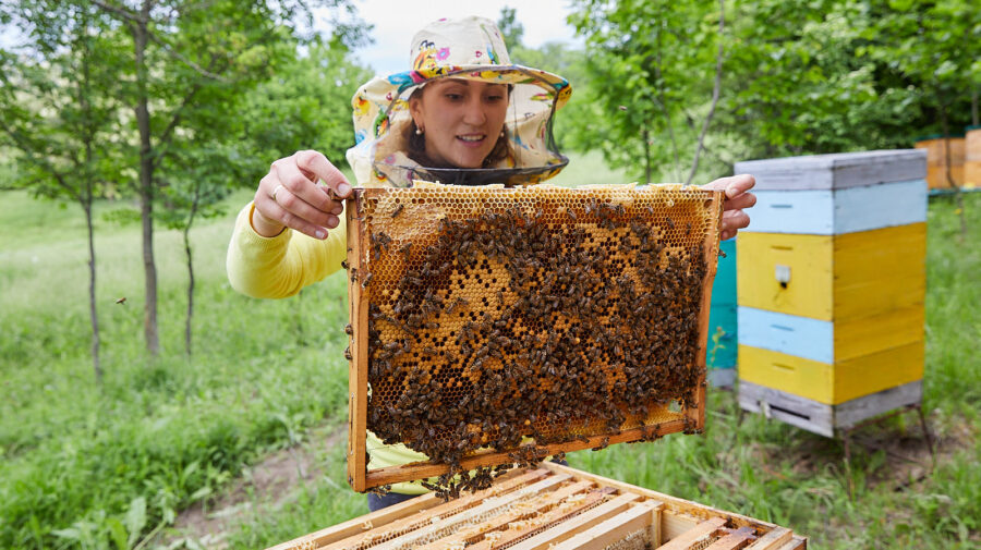 FOTO Află povestea a două antreprenoare, care susțin piața locală prin afaceri, ce promovează un mod sănătos de viață