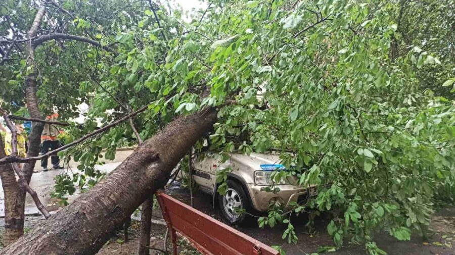 FOTO, VIDEO Prăpăd la Tiraspol: Copaci rupți și căzuți peste mașinile parcate în curțile blocurilor