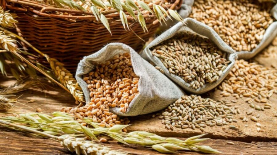 În acest an, Moldova a exportat de 6 ori mai multe cereale, decât anul trecut