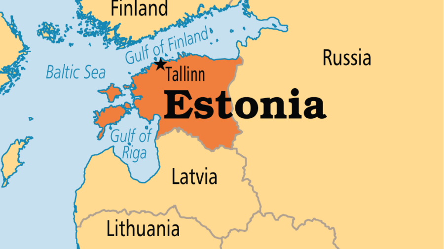 Estonia. Parlamentul a eșuat în alegerea președintelui, respingând unicul candidat