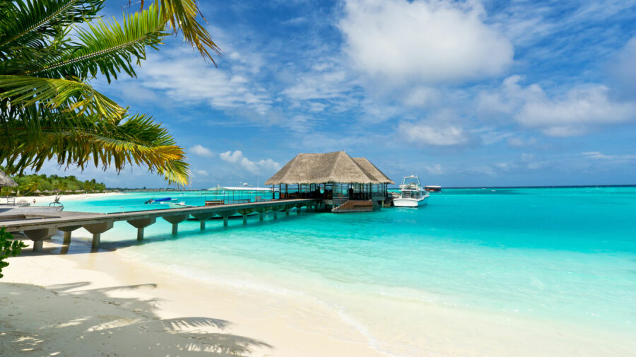 Zeci de state riscă să dispară de pe harta lumii! Cel mai disperat semnal de alarmă vine din Maldive. Ce se întâmplă?