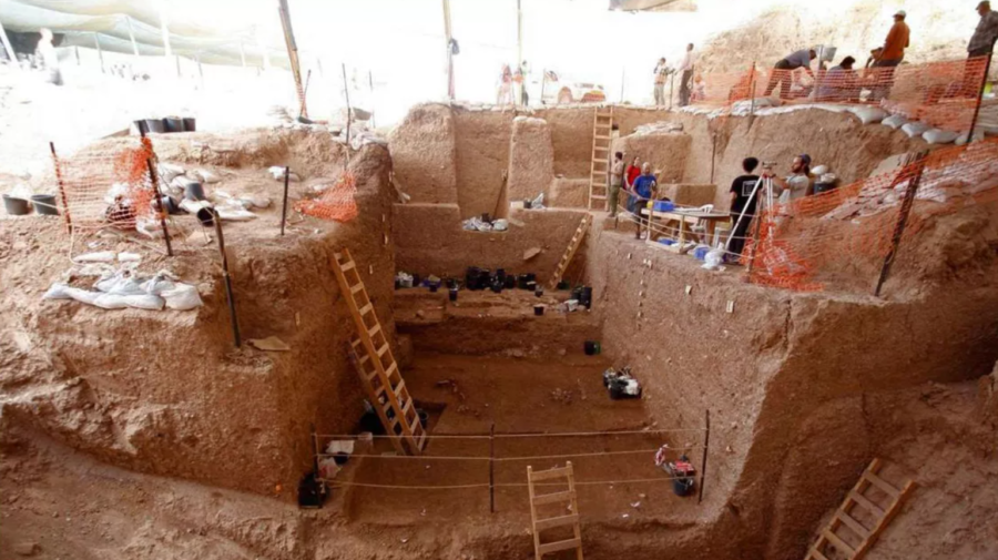 INCREDIBIL! A fost descoperită o ramură nouă a arborelui genealogic de Homo Sapiens. Cum arată?