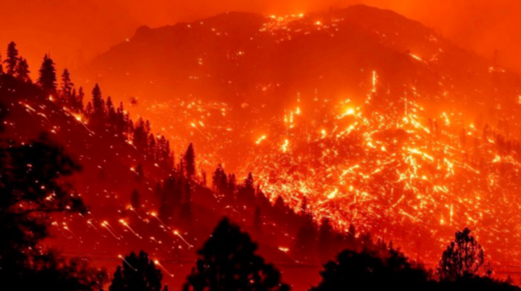 VIDEO Incendiile din California continuă să facă ravagii. Caldor Fire a atins proporții istorice și o zonă turistică