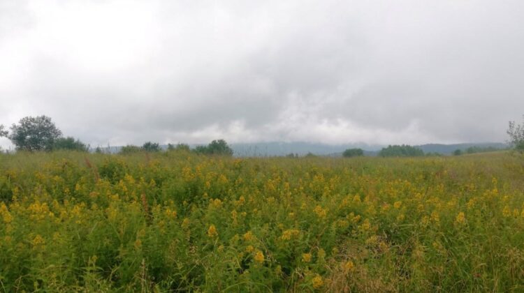 METEO: S-a făcut dimineața, dar e încă întuneric! Joi, în Moldova, s-a răcit până la +15 grade Celsius