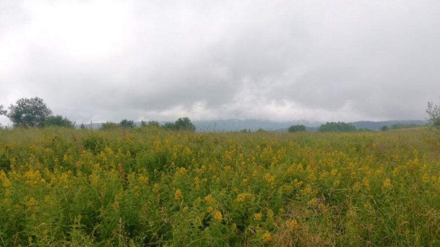 METEO: S-a făcut dimineața, dar e încă întuneric! Joi, în Moldova, s-a răcit până la +15 grade Celsius