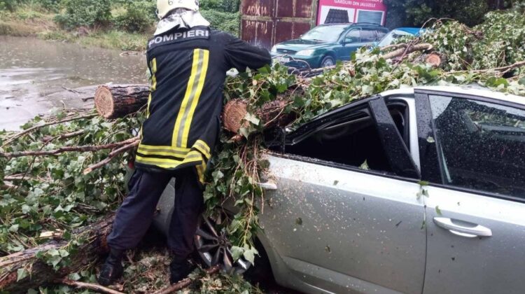 FOTO Copacii doborâți de vijelie au avariat cel puțin DOUĂ automobile din Capitală. Au intervenit POMPIERII