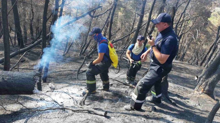 FOTO Continuă misiunea pompierilor moldoveni în Grecia. Au reușit să salveze animale din zona de risc