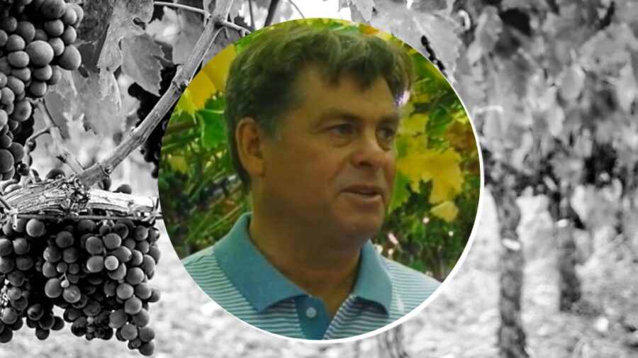 VIDEO Bani.md, despre moldoveanul care exportă struguri de masă în lume. Unde a ajuns poama noastră?