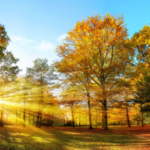Ce temperaturi sunt prognozate în prima lună de toamnă