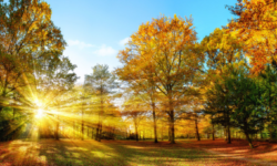 Ce temperaturi sunt prognozate în prima lună de toamnă
