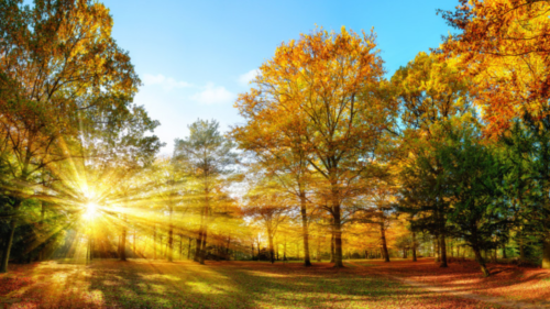 Ce temperaturi sunt prognozate în prima lună de toamnă