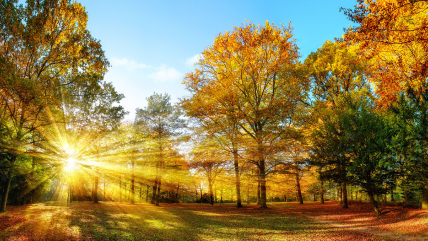 Ce temperaturi sunt prognozate în prima lună de toamnă