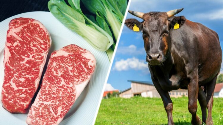 FOTO Prima bucată de carne de vacă japoneză prin 3D! Un kilogram de cea tradițională costă peste 300 de euro