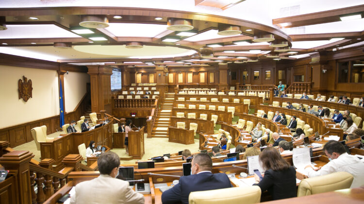 Vor stabili prietenii cu alte state! Parlamentul se va împrieteni la nivel de legislaturi cu 45 de țări