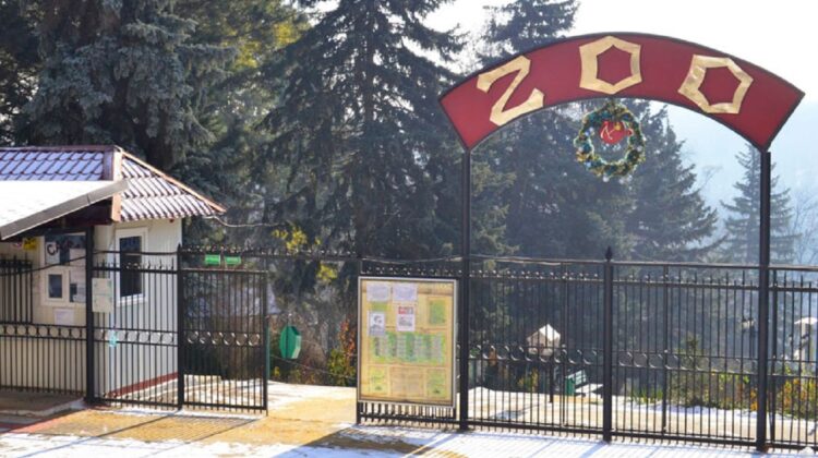 Grădina Zoologică din Chișinău își sistează activitatea pentru o anumită perioadă. Care este motivul
