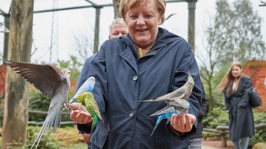 VIDEO Oficial, ERA Angelei Merkel s-a încheiat! Ce va face ex-cancelarul german după retragere?