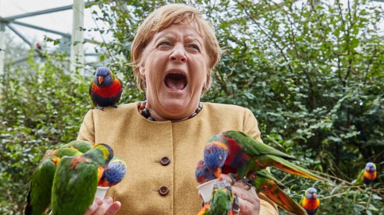 Imaginea zilei! Angela Merkel, ciupită de papagali, în timpul unei vizite la parcul de păsări din Marlow