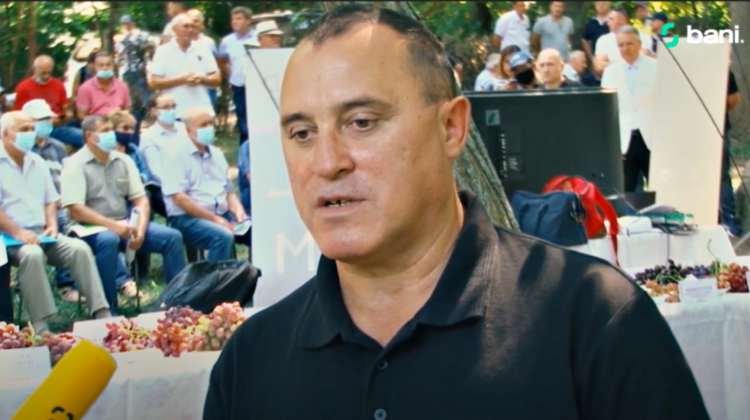 VIDEO Iurie Fală, director executiv Moldova Fruct, pentru Bani.md: „Standardele de calitate formează prețul”