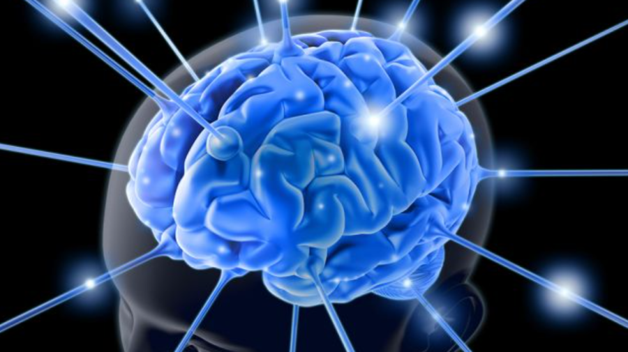 Incredibil! Cercetătorii vor să „inunde” creierul uman cu microcipuri. Ar putea trata epilepsia