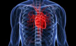 Ai grijă de inima ta! Trei gustări minune pentru sănătatea sistemului cardiovascular