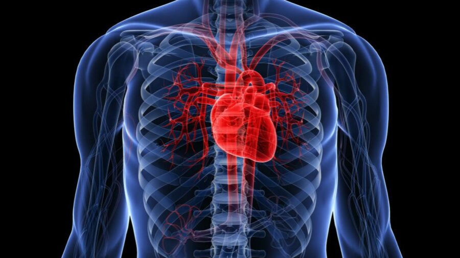 „Folosește-ți inima pentru conectare”, sfatul specialiștilor din sănătate în contextul Zilei Mondiale a Inimii