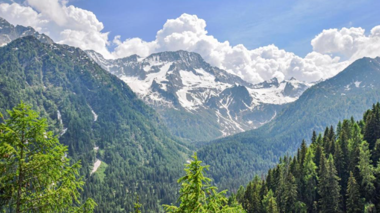 Mai multe rămășițe ale alpiniștilor dispăruți în urma avalanșei din Alpi au fost găsite de salvatori