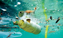 Cei mai mari poluatori cu plastic din lume, dezvăluiți de un studiu. Ce companii binecunoscute otrăvesc planeta