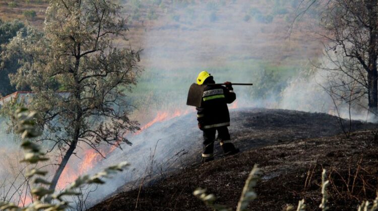 Zeci de focare de vegetație, stinse de pompierii IGSU! Câte au fost localizate în ultimele 24 de ore