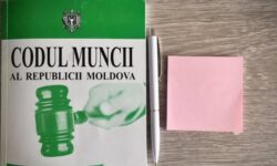 Concedii mai mari și fără perioadă de probă pentru tineri. Propunerile sindicatelor pentru modificarea Codului Muncii