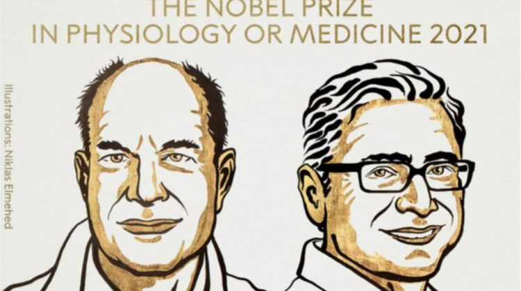 Doi cercetători americani au câştigat premiul Nobel pentru medicină 2021. Ce descoperire au făcut