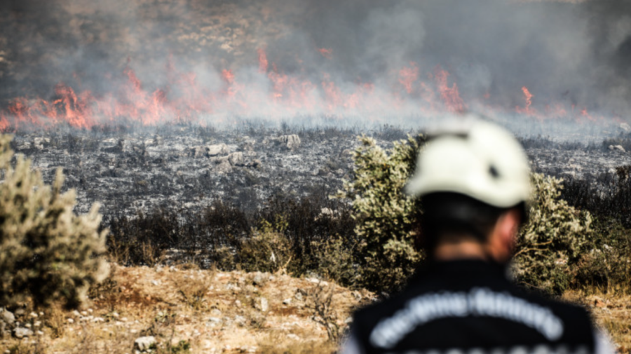 Mai mulți oameni acuzați că au provocat incendii forestiere în Siria, executați. Ce pedepse au primit