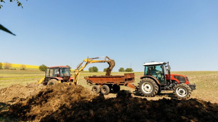 Numărul persoanelor care muncesc în sectorul agricol din Moldova a scăzut cu 600 de mii în ultimii 23 de ani