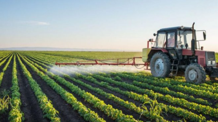 Ministrul Agriculturii explică majorările de prețuri din domeniu cu scumpirile la fertilizanți