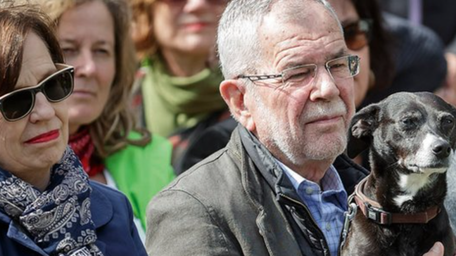FOTO Drama câinelui președintelui Austriei, cel care „a dat buzna” la întrevederea lui Van der Bellen cu Sandu