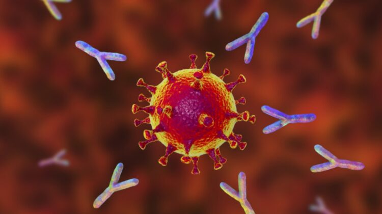 De ce testele de anticorpi ar fi deocamdată irelevante pentru a determina în ce măsură suntem protejați de coronavirus