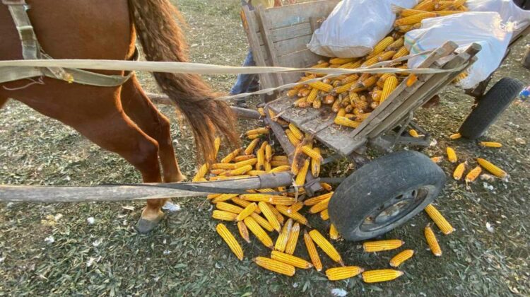 FOTO Caz șocant la Nisporeni. Un bărbat în vârstă de 49 de ani a decedat în secția de reanimare. De ce?