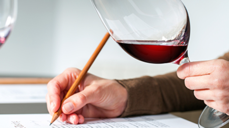 VIDEO Au fost decernați cei mai buni vinificatori din țară! La concurs au fost prezentate peste 400 de mostre de vin