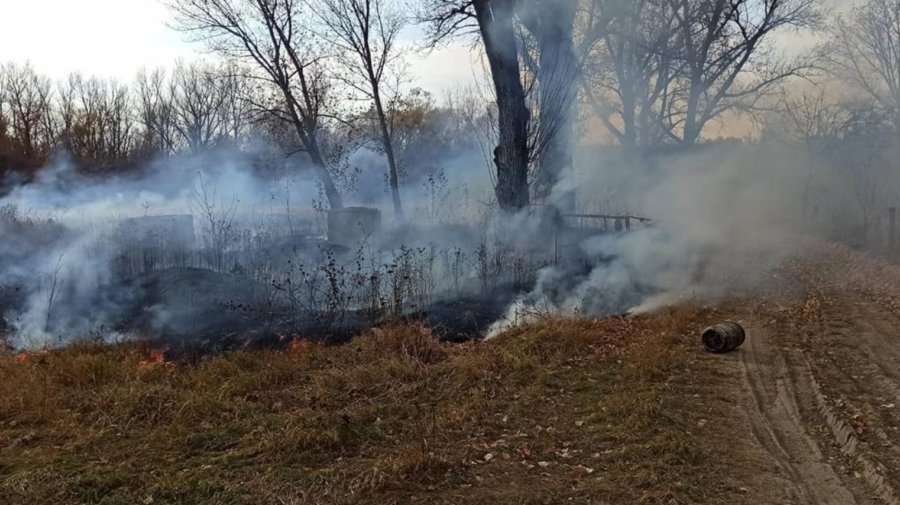 FOTO Incendiu de vegetație în zona de frontieră. Pompierii au luptat cu flăcările zeci de minute