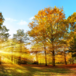 Prognoza meteo pentru 4 septembrie: Cer variabil și până la +30°C