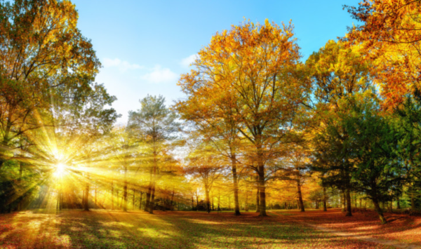 Prognoza meteo pentru 4 septembrie: Cer variabil și până la +30°C