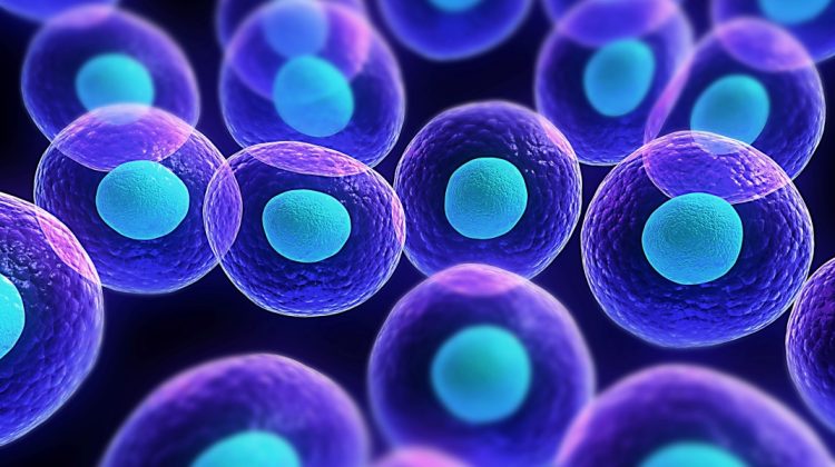 S-a aflat de ce unii nu se infectează cu COVID, chiar dacă cei din jurul lor – da. Este vorba despre niște celule!