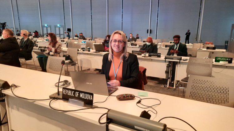 Ministrul Mediului, la reuniunea Liderilor Mondiali de la Glasgow: Declarația cu privire la conservarea pădurilor