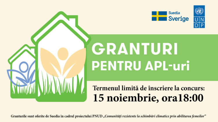 Oportunitate unică! Două concursuri de granturi vor fi lansate de Suedia și PNUD. Cine poate participa