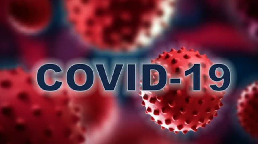 Statistica COVID-19: 23 de pacienți sunt internați în stare gravă, dintre care doi – supuși ventilării mecanice