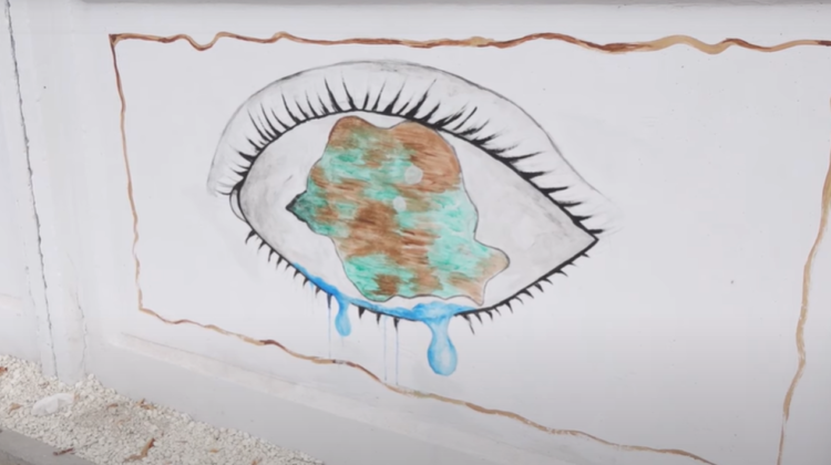 VIDEO | O pată de culoare la Fălești! Elevii au decis să „învie” gardul instituției de învățământ