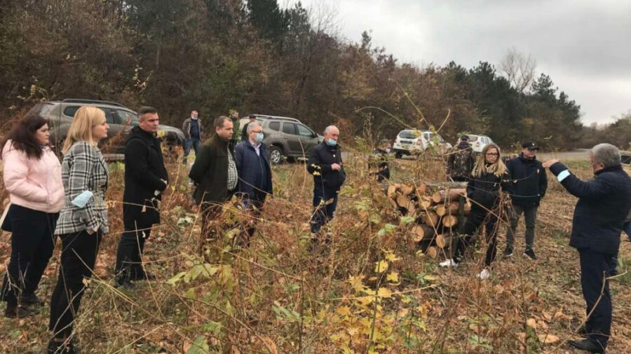 FOTO Deputații „s-au ridicat din fotolii”. Au fost zăriți în pădurea din Călărași efectuând controale