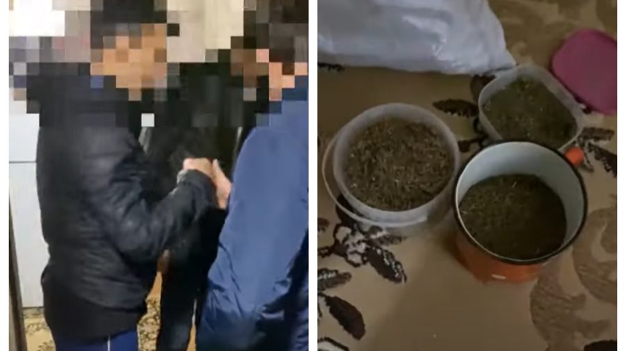 VIDEO Vase și pachete cu marijuana, depistate la domiciliul unui individ. A fost plasat în arest