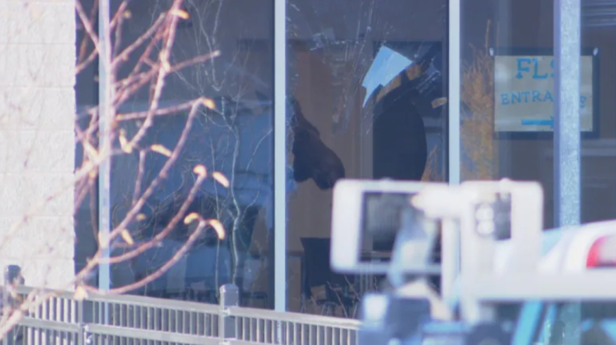 FOTO Un elan a spart geamul și a intrat într-o școală din Canada. Cum a fost prins animalul