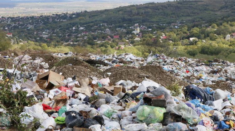 Problema deșeurilor a ajuns și la Parlament. Ședința care ar prezice soluții pentru un mediu mai curat la nivel local