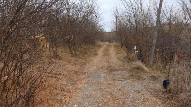 Cadavrele a doi tineri, descoperite într-o fâșie forestieră la Fălești. Semne vizibile de moarte violentă